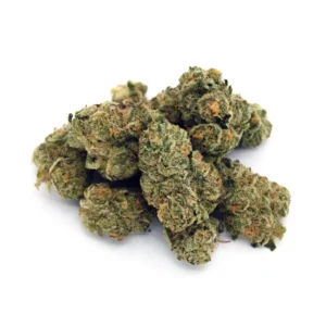 Space-Case near me