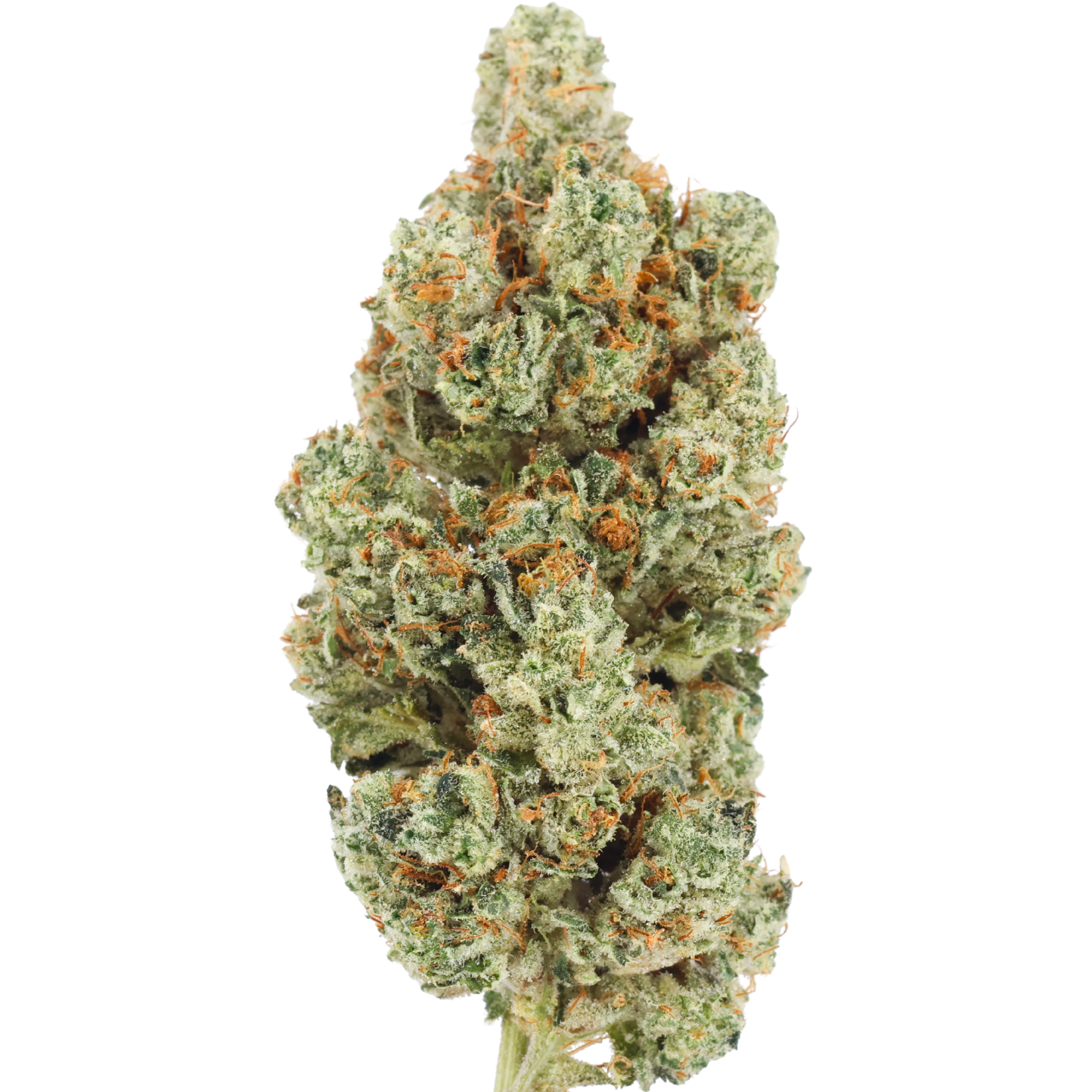 GORILLA OG|1 Ounce